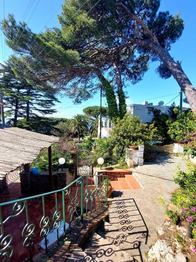 La Solara Apartment Anacapri  Exterior photo